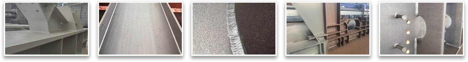 Detailed Pictures