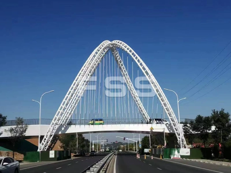 Specialized Structures