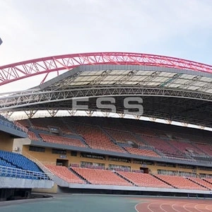 Zibo Sports Center Case