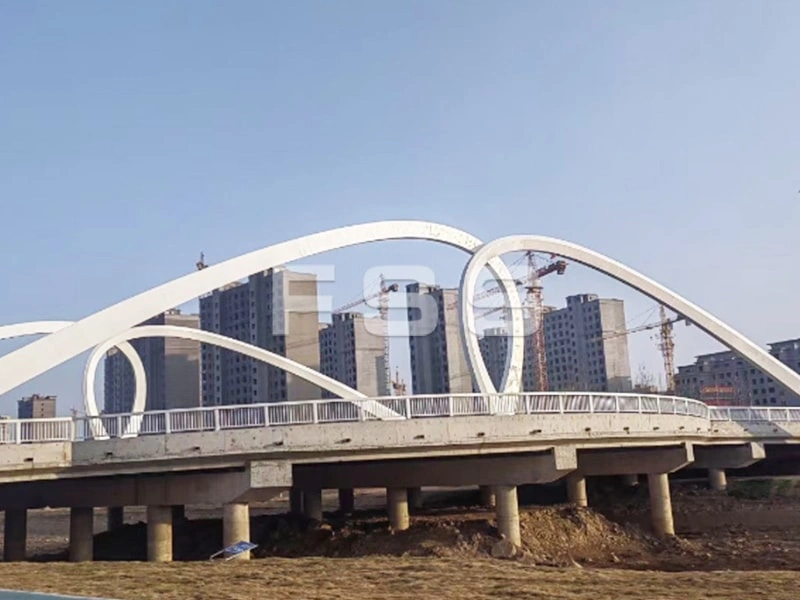 Cable-Stayed Bridges